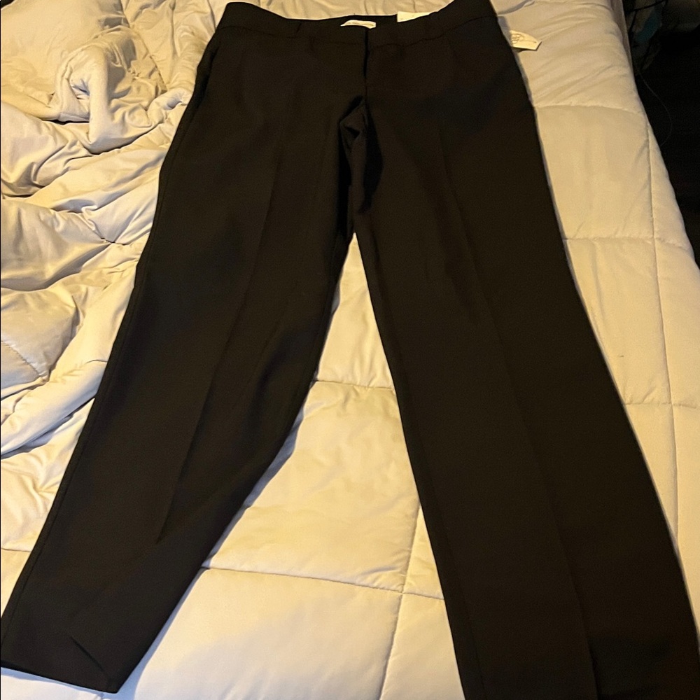 Cato Women's Black Trousers